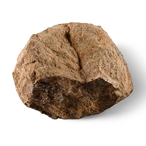 Natural History - Stony Iron Meteorite