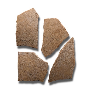 Natural History - Giant Elephant Bird Eggshell Group