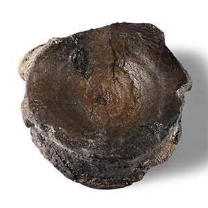 Natural History - Fossil Icthyosaur Marine Dinosaur Vertebra