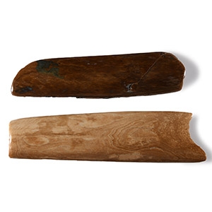 Natural History - Mammoth Tusk Section Group