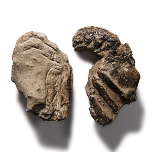 Natural History - Meyeria Lobster Fossil Group