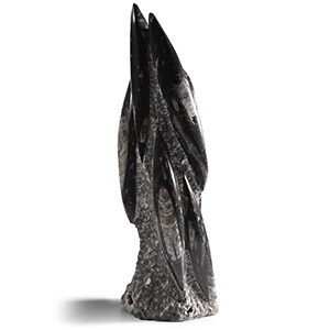 Natural History - Fossil Orthoceras Tower
