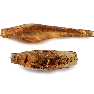 Natural History - Polished Copal Pair with Insects