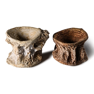 Natural History - Fossil Shark Vertebra Group