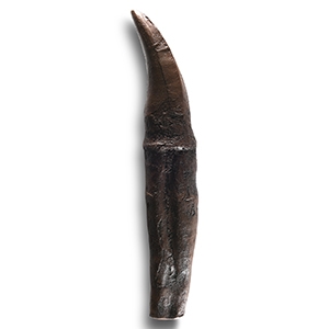Natural History - Large T-Rex Tooth with Root Replica