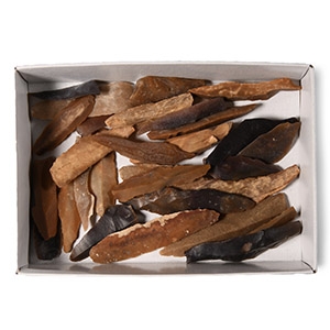 Stone Age Flint Projectile Point Group