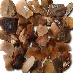 Stone Age Flint Microlith Group