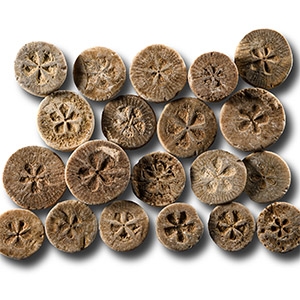 Roman Limestone Gaming Counter Group