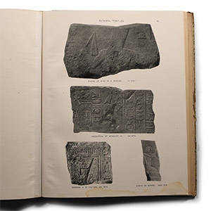 Archaeological Books - Flinders Petrie, A. Ehnasya (Egypt)