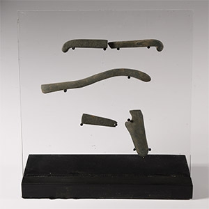Egyptian Mummy Schist Eye Inlay Collection