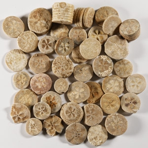 Egyptian Limestone Floral Inlay Group