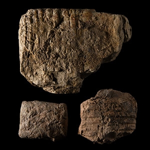 Mesopotamian Cuneiform Tablet Fragment Group