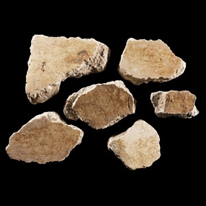 Roman Fresco Painted Wall Plaster Collection