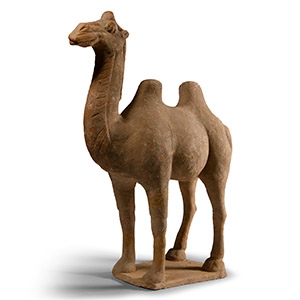 Chinese Tang Terracotta Camel
