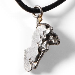 Natural History - Campo Del Cielo Iron Meteorite Necklace