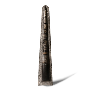 Natural History - Large Fossil Orthoceras Rocket Display