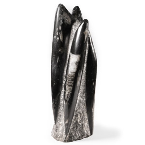 Natural History - Polished Fossil Orthoceras Column