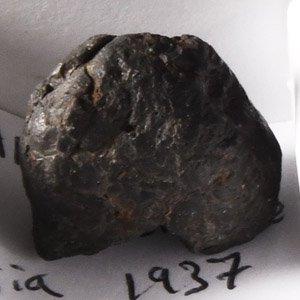 Natural History - Sikhote Alin Meteorite