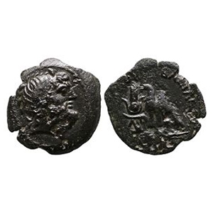 Ancient Greek Coins - Ptolemy IX Soter - AE25