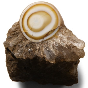 Natural History - Historic Onyx Mineral Specimen with Polished Eye