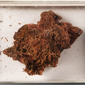 Natural History - Historic Crocoite Crystal Formation