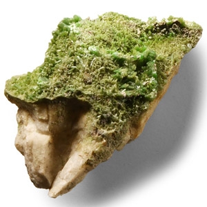 Natural History - Historic Green Mimetite Crystal Formation