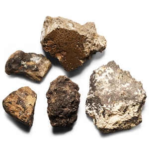 Natural History - Historic Cassiterite Ore Collection