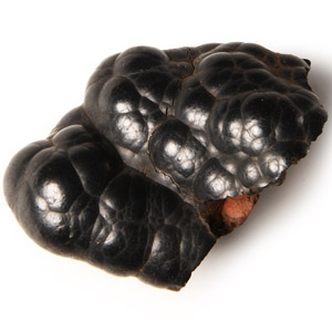 Natural History - Historic Botryoidal Haematite Mineral Specimen