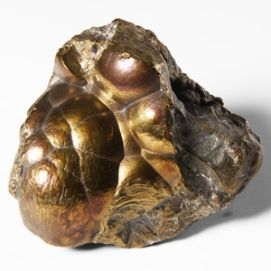 Natural History - Historic Botryoidal Haematite Mineral Specimen