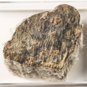 Natural History - Historic Asbestos Mineral Specimen