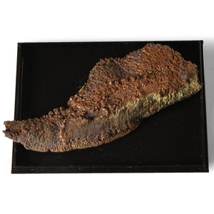 Natural History - Historic Copper Plated on Iron Rail Mineral Specimen