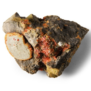 Natural History - Historic Orange Realgar Mineral Specimen