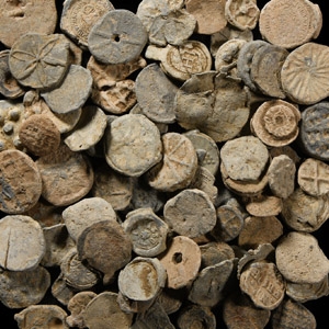 Medieval and Later Lead Token and Bag Seal Collection