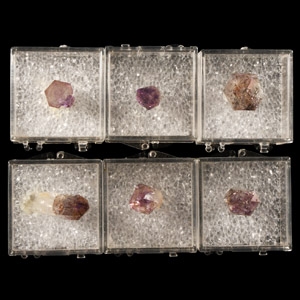 Natural History - Cased Amethyst Crystal Points [6]