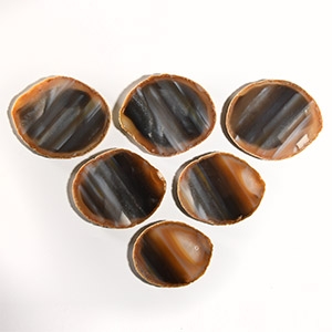 Natural History - Cut and Polished Agate Crystal Geode Coaster Group [6]