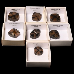 Natural History - Boxed Cut and Polished Chiastolite Mineral Specimen Group [7]