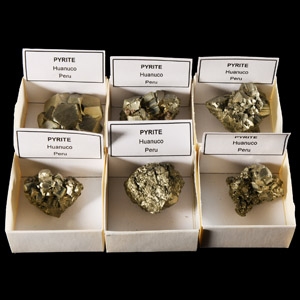 Natural History - Boxed Pyrite Mineral Specimen Group [6]