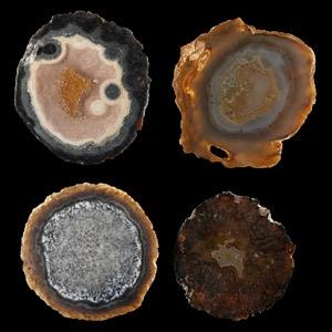 Natural History - Cut and Polished Agate Crystal Geode End Group [4]