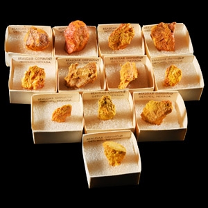 Natural History - Boxed Realgar Orpiment Mineral Specimen Group [12]