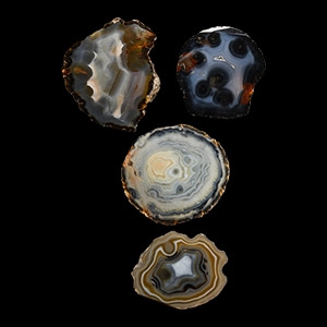 Natural History - Cut and Polished Agate Crystal Geode End Group [4]