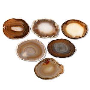 Natural History - Cut and Polished Agate Crystal Geode Slice Group [6]