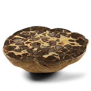 Natural History - Large Cut and Polished Septarian Egg Half