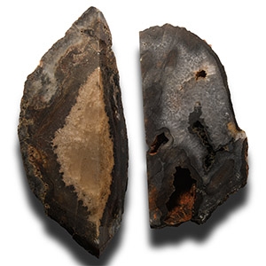 Natural History - Large Cut Agate Section Group [2]