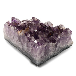 Natural History - Amethyst Crystal Geode Segment