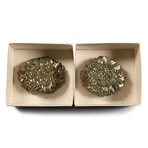 Natural History - Boxed Pyrite Fools Gold Crystal Rose Pair [2]