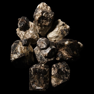 Natural History - Large Dravite Tourmaline Crystal Specimen Group [8]