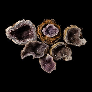 Natural History - Amethyst Crystal Geode Cut Half Collection [6]