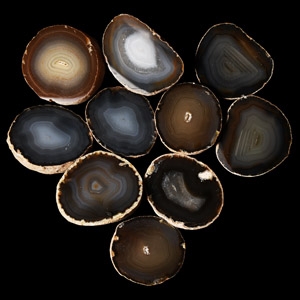 Natural History - Agate Crystal Geode Cut Half Group [10]