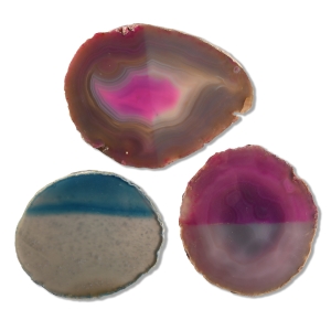 Natural History - Grade A Cut and Polished Agate Slice Collection [3]