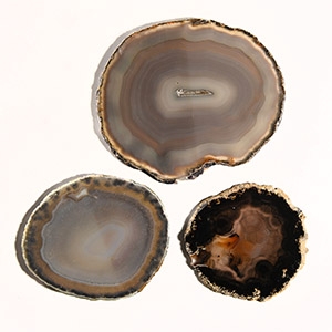 Natural History - Grade A Cut and Polished Agate Slice Collection [3]